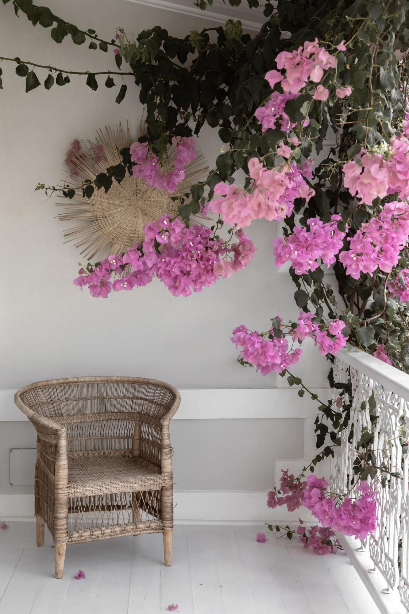 Noah House Hotel Cape Town Bagian luar foto